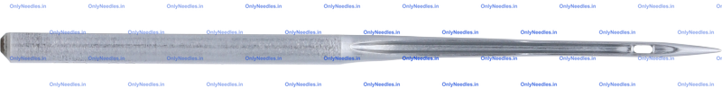 Needle — rear view
