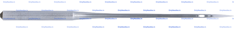 Needle — rear view