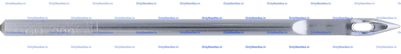 Needle — front view