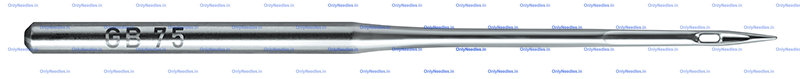 Needle — front view