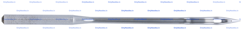 Needle — rear view
